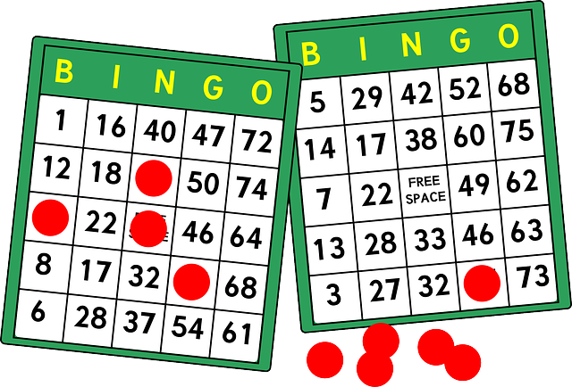 bingo rules